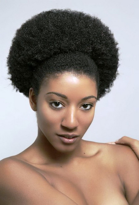 Afro hair styles afro-hair-styles-86_2