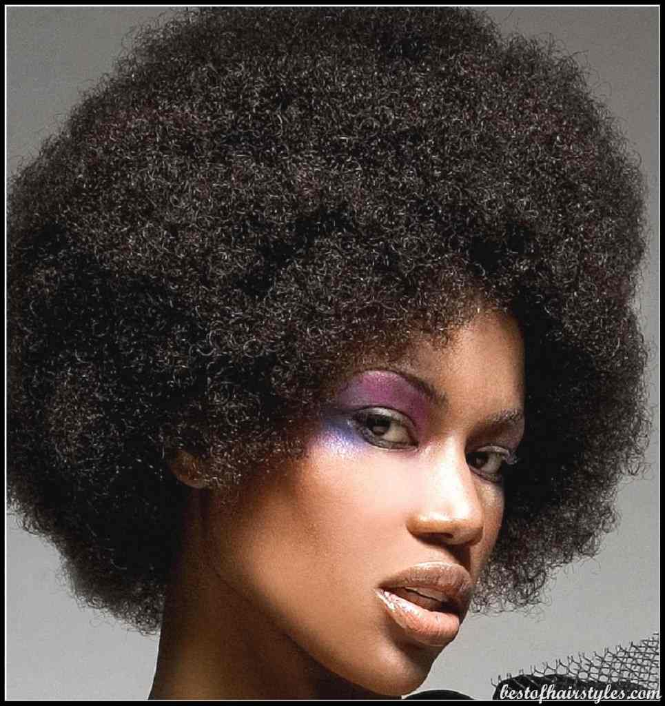 Afro hairstyles afro-hairstyles-58-2