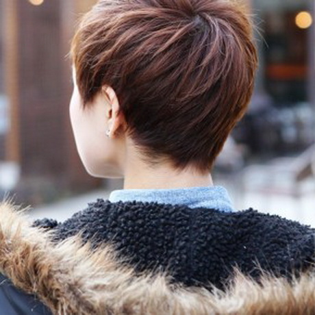 Back view of short haircuts for women back-view-of-short-haircuts-for-women-30_9