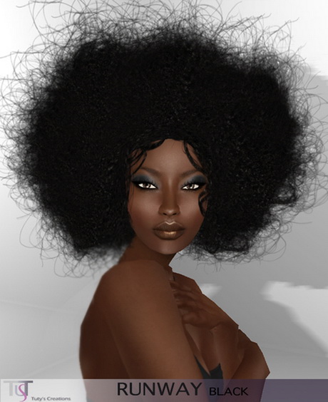 Black afro hairstyles black-afro-hairstyles-02_4