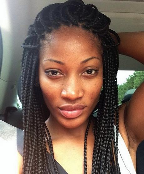 Black braids hairstyles pictures black-braids-hairstyles-pictures-64_5