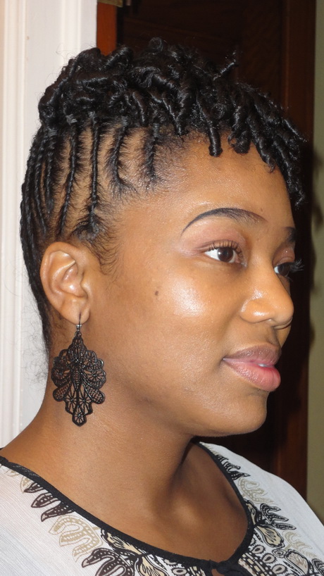 Black twist hairstyles pictures black-twist-hairstyles-pictures-48_12