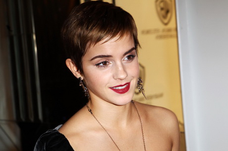 Celebrity short haircuts for women celebrity-short-haircuts-for-women-29_3