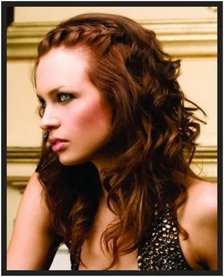 Curly hairstyles with braids curly-hairstyles-with-braids-39_14
