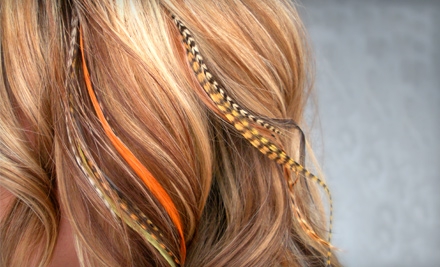 Feather hair extensions feather-hair-extensions-65-11