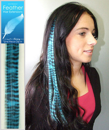 Feather hair extensions feather-hair-extensions-65-18