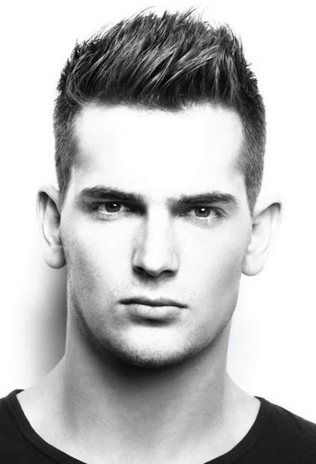 Hairstyles for mens hairstyles-for-mens-51_2