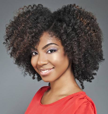 Hairstyles for natural black hair hairstyles-for-natural-black-hair-80_5