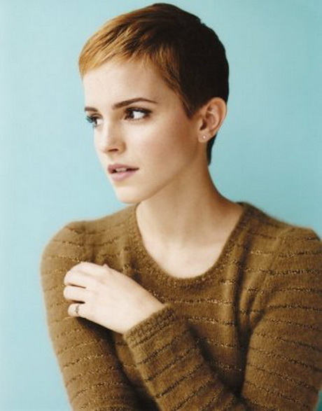 Hairstyles for super short hair hairstyles-for-super-short-hair-95_10