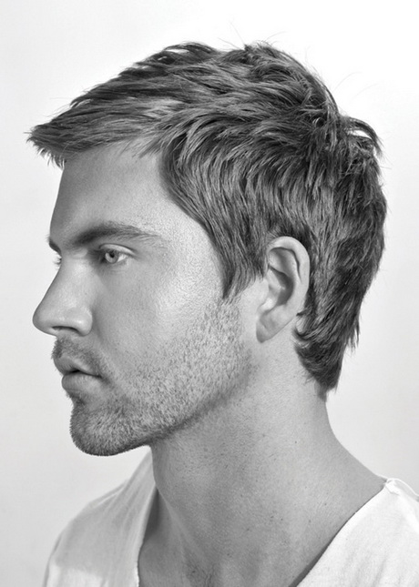 Mens hairstyle mens-hairstyle-08-12