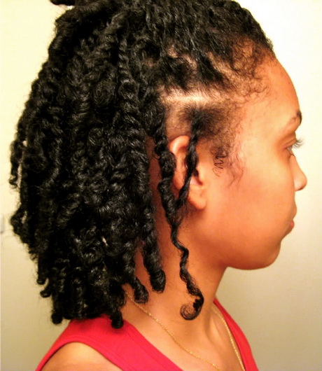Natural black hairstyles twists natural-black-hairstyles-twists-00_13