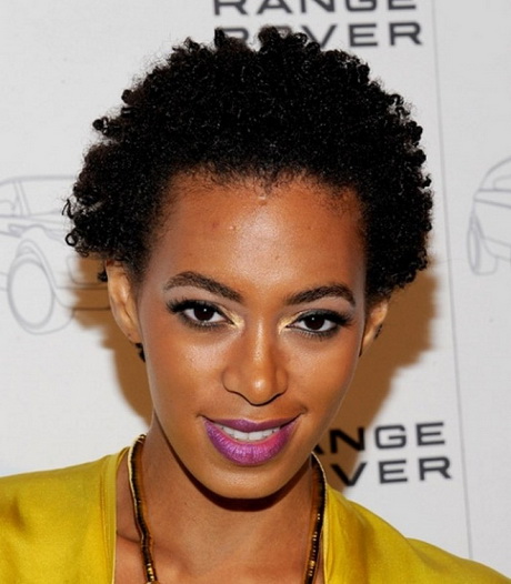 Natural black women hairstyles natural-black-women-hairstyles-33_20