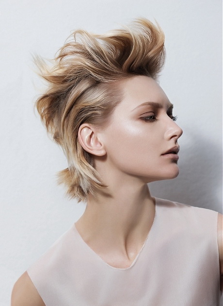 Party hairstyles for short hair party-hairstyles-for-short-hair-62-11