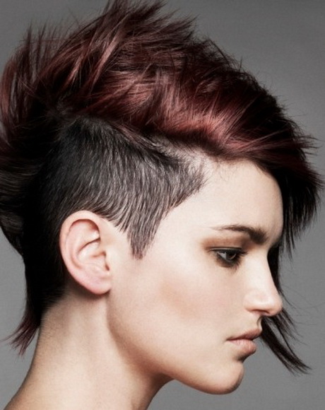 Punk hairstyle punk-hairstyle-45-12