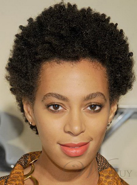 Short afro hairstyles for women short-afro-hairstyles-for-women-27_19