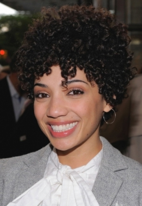 Short black curly hairstyles short-black-curly-hairstyles-27_11