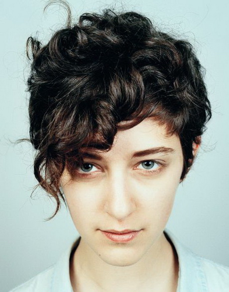 Short haircuts for curly hair 2015 short-haircuts-for-curly-hair-2015-96-12