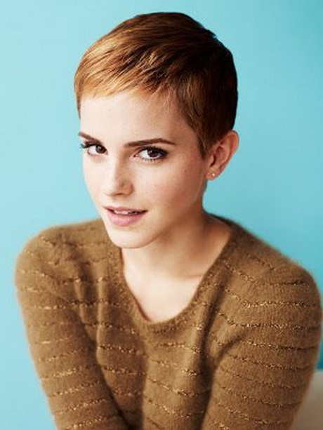 Short hairstyles thick hair short-hairstyles-thick-hair-85-13