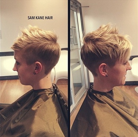 Stylish short haircuts for women 2015 stylish-short-haircuts-for-women-2015-18_16