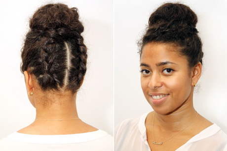 Twist braid hairstyles twist-braid-hairstyles-65_11