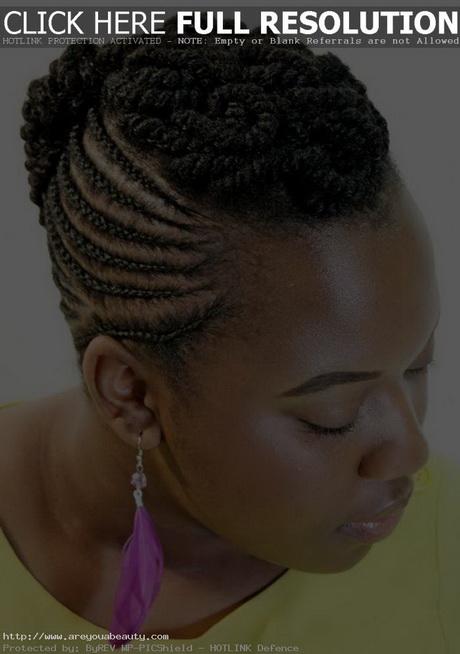 African braided hair styles african-braided-hair-styles-74_8