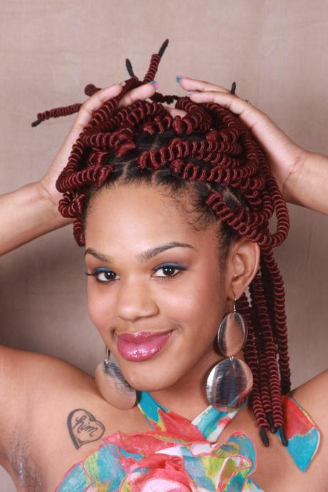 African braids hairstyle african-braids-hairstyle-70_11