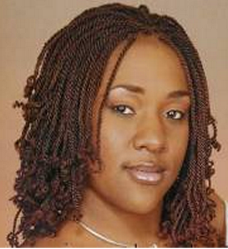 Afro braided hairstyles afro-braided-hairstyles-98