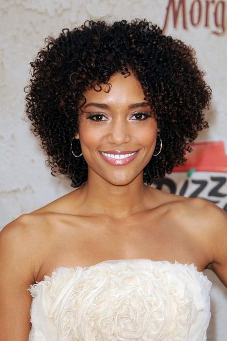 Afro hairstyles for women