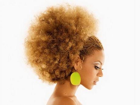 Afro hairstyles for women afro-hairstyles-for-women-05_13
