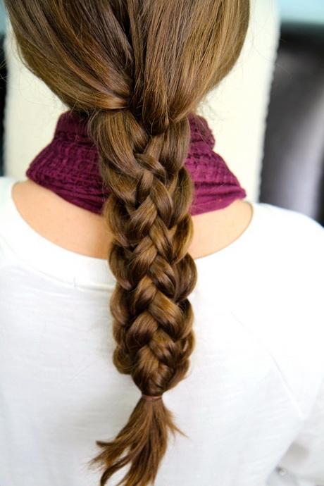 Amazing braided hairstyles amazing-braided-hairstyles-97_14