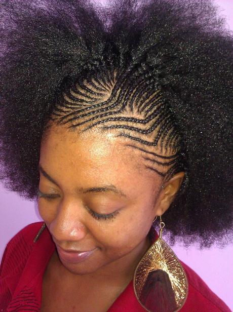 Braided afro hairstyles braided-afro-hairstyles-35_12