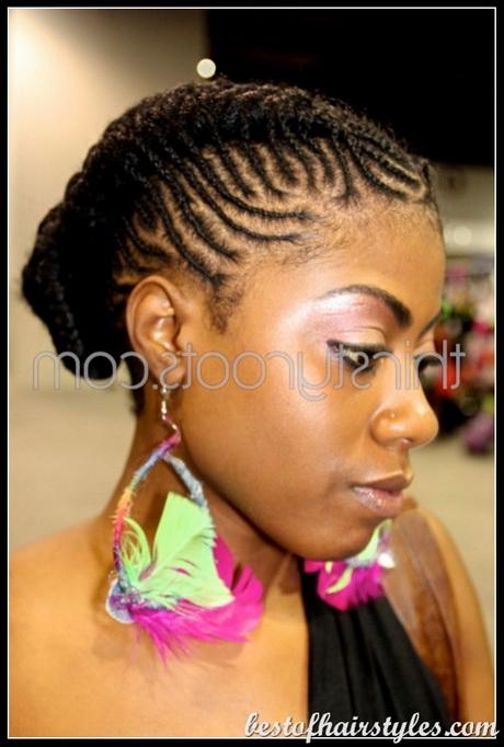 Braided afro hairstyles braided-afro-hairstyles-35_3