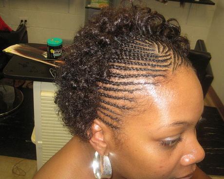 Braided afro hairstyles braided-afro-hairstyles-35_4