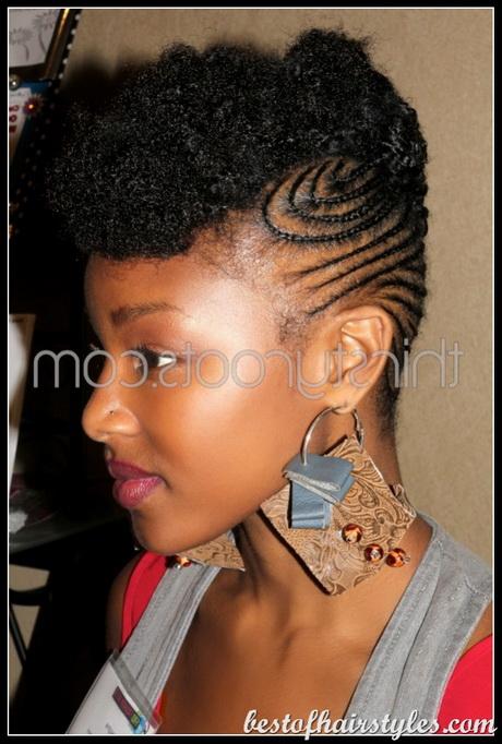 Braided afro hairstyles braided-afro-hairstyles-35_9