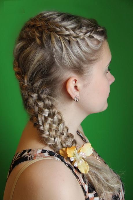 Braided hairstyle ideas braided-hairstyle-ideas-28_3