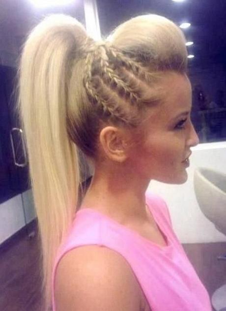 Braided hairstyle pictures braided-hairstyle-pictures-96_19