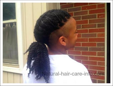 Braids hairstyles for men braids-hairstyles-for-men-93_3