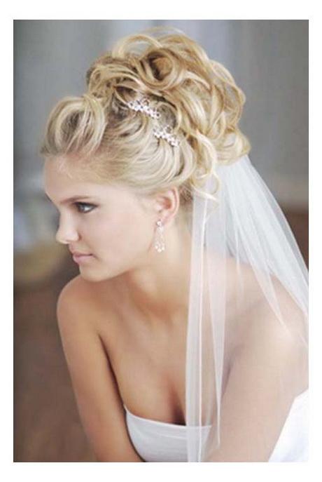 Bridal hairstyles with veil bridal-hairstyles-with-veil-58_4