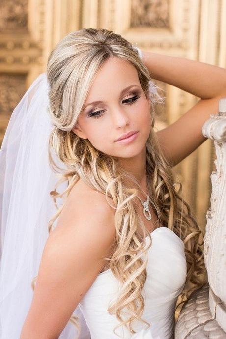 Bridal hairstyles with veil bridal-hairstyles-with-veil-58_8