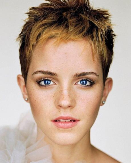 Celebrities with pixie haircuts celebrities-with-pixie-haircuts-10_17