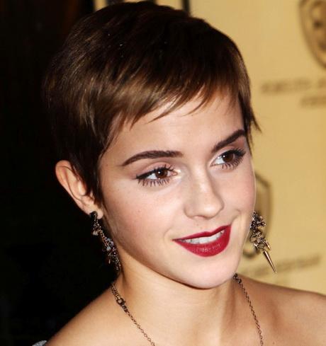 Hairstyle pixie cut hairstyle-pixie-cut-43_13