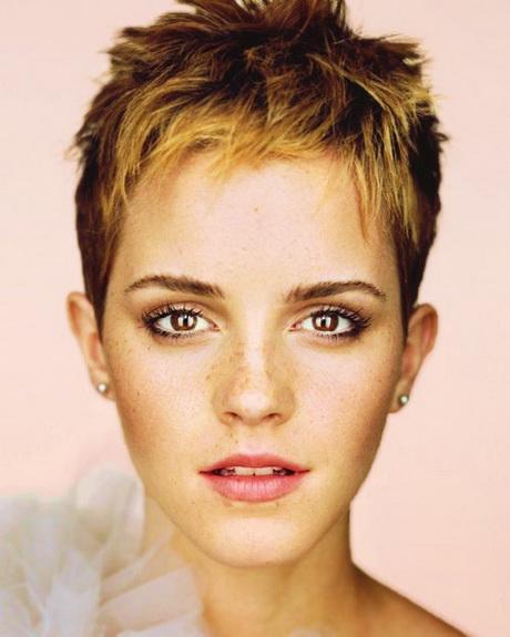 Hairstyle pixie cut hairstyle-pixie-cut-43_4