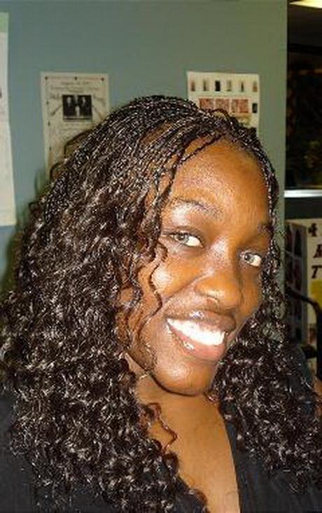 Hairstyles with micro braids hairstyles-with-micro-braids-48_10