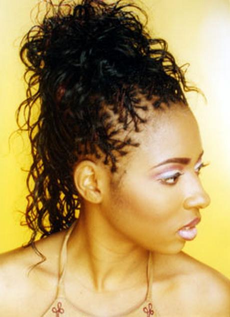 Hairstyles with micro braids hairstyles-with-micro-braids-48_16