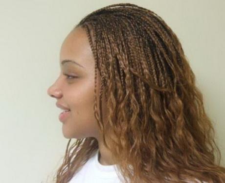 Micro braids hairstyles pictures micro-braids-hairstyles-pictures-57_5
