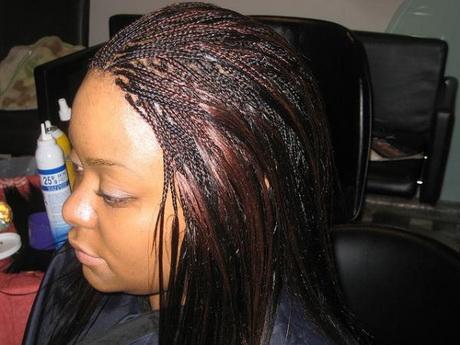 Micro braids hairstyles pictures micro-braids-hairstyles-pictures-57_6