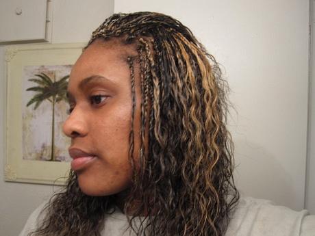 Micro braids hairstyles pictures micro-braids-hairstyles-pictures-57_8