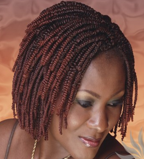 Nubian twist braids nubian-twist-braids-47_3