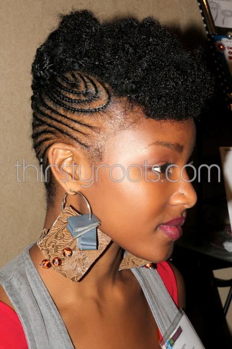 Pictures african braids hairstyles pictures-african-braids-hairstyles-95_6