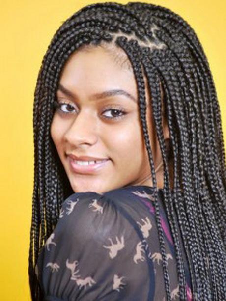Pictures of african braids pictures-of-african-braids-84_10